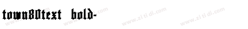 town80text bold字体转换